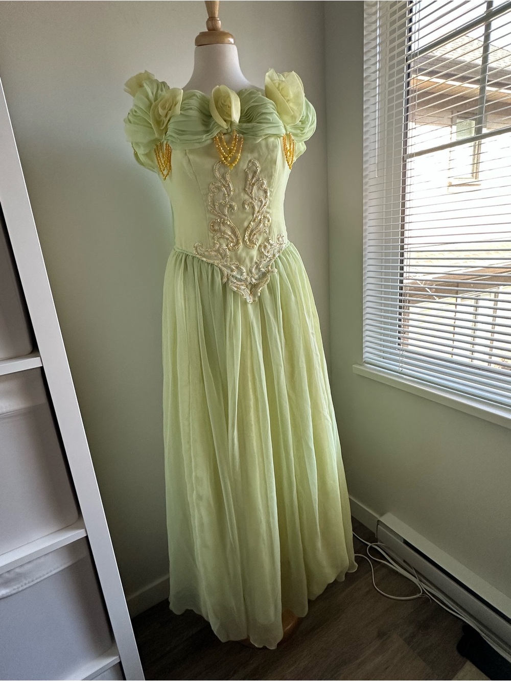Vintage Women Green Princess Costume / Prom Dress
